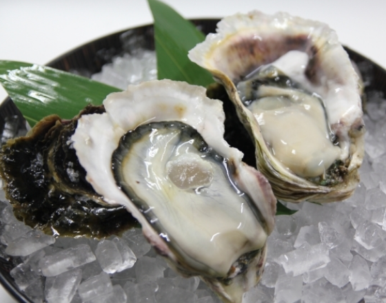 広島　牡蠣